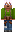 skin of a player