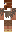 skin of a player