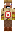 skin of a player