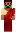 skin of a player