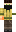 skin of a player