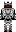 skin of a player