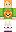 skin of a player