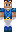 skin of a player