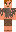 skin of a player