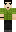 skin of a player