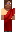skin of a player