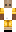skin of a player
