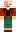 skin of a player