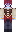 skin of a player