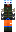 skin of a player
