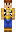 skin of a player