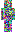 skin of a player