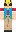 skin of a player