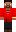 skin of a player