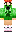 skin of a player