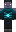 skin of a player