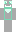 skin of a player