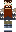 skin of a player