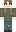 skin of a player