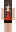 skin of a player