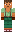 skin of a player
