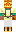 skin of a player