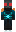 skin of a player