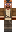skin of a player