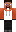 skin of a player