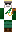skin of a player