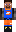 skin of a player