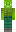 skin of a player