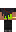 skin of a player