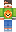 skin of a player