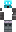 skin of a player