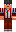 skin of a player