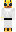 skin of a player