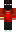 skin of a player