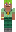 skin of a player