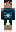 skin of a player