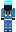 skin of a player