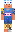 skin of a player