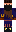 skin of a player