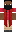skin of a player