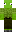 skin of a player