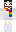 skin of a player