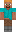 skin of a player