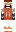 skin of a player