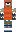 skin of a player